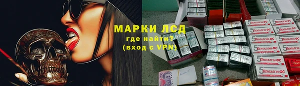 амф Бородино