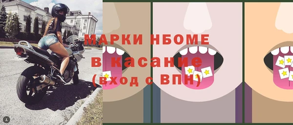 амф Бородино