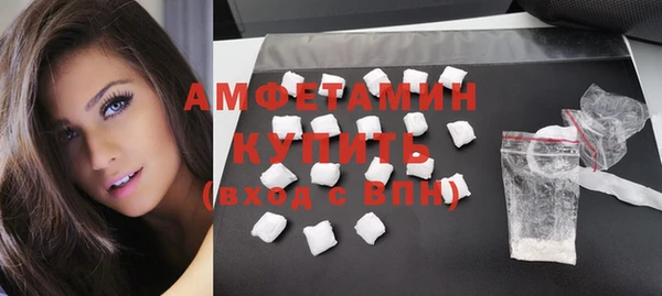 амф Бородино