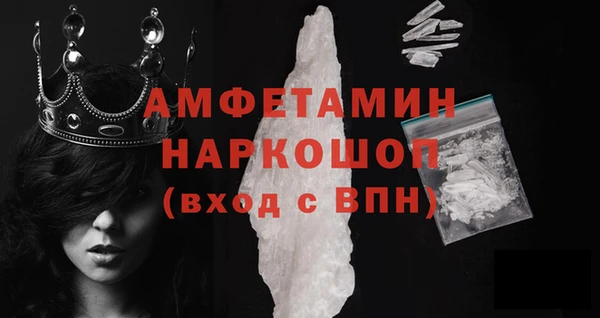 прущие грибы Бронницы