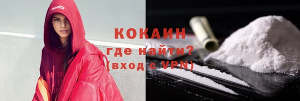 прущие грибы Бронницы