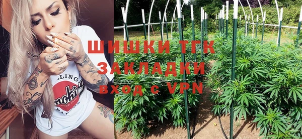 прущие грибы Бронницы