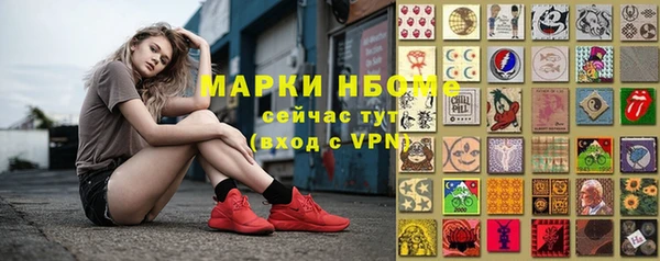 прущие грибы Бронницы