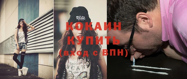 амф Бородино