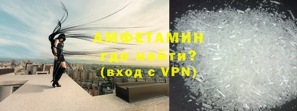 прущие грибы Бронницы