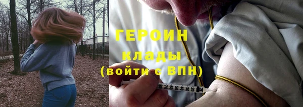 амф Бородино