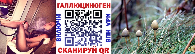 Галлюциногенные грибы прущие грибы  Свободный 