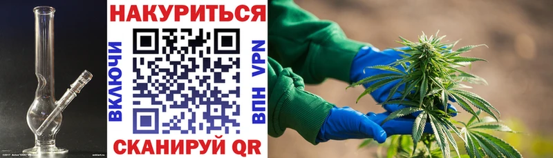 Каннабис ГИДРОПОН Свободный